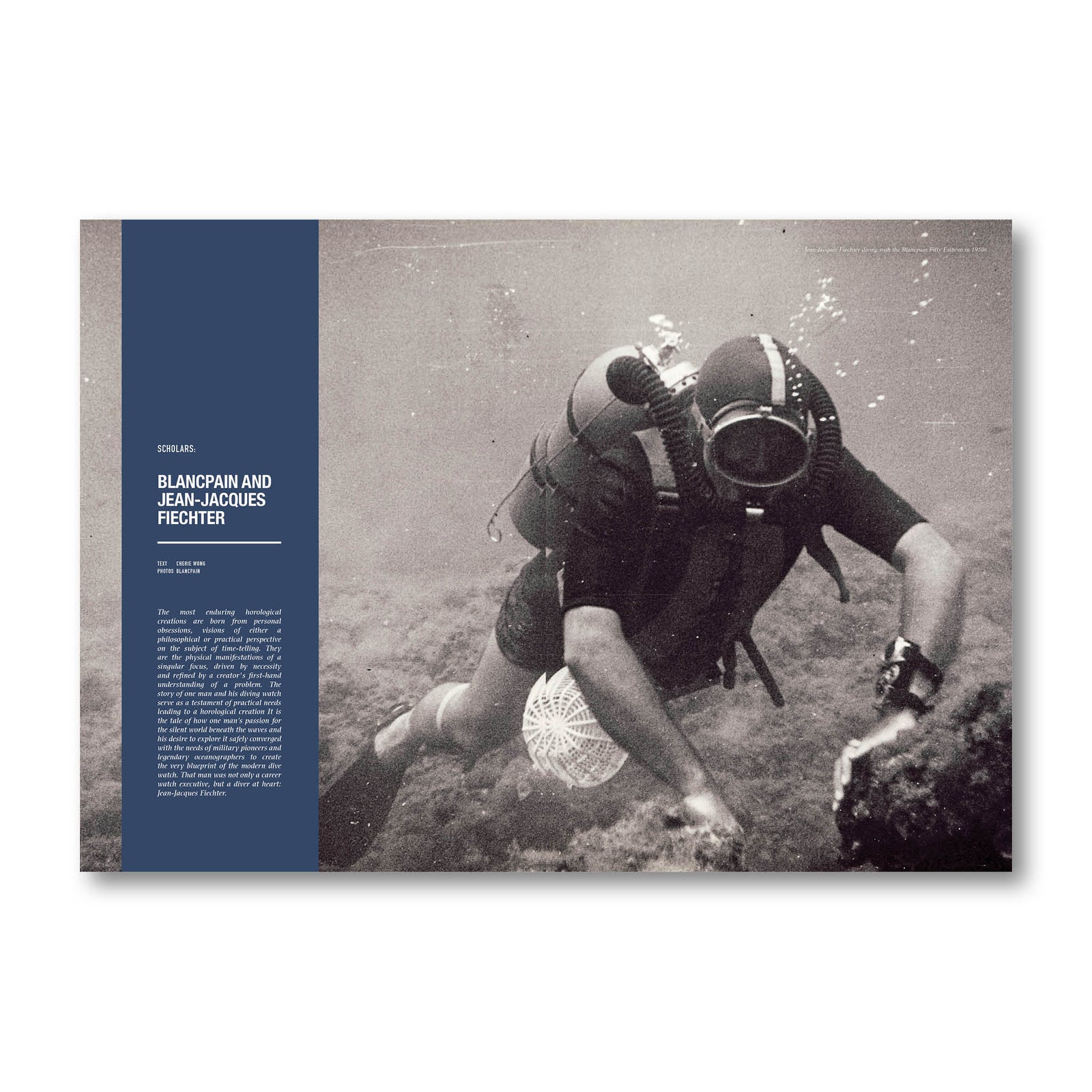 Blackbird Watch Manual Vol.13