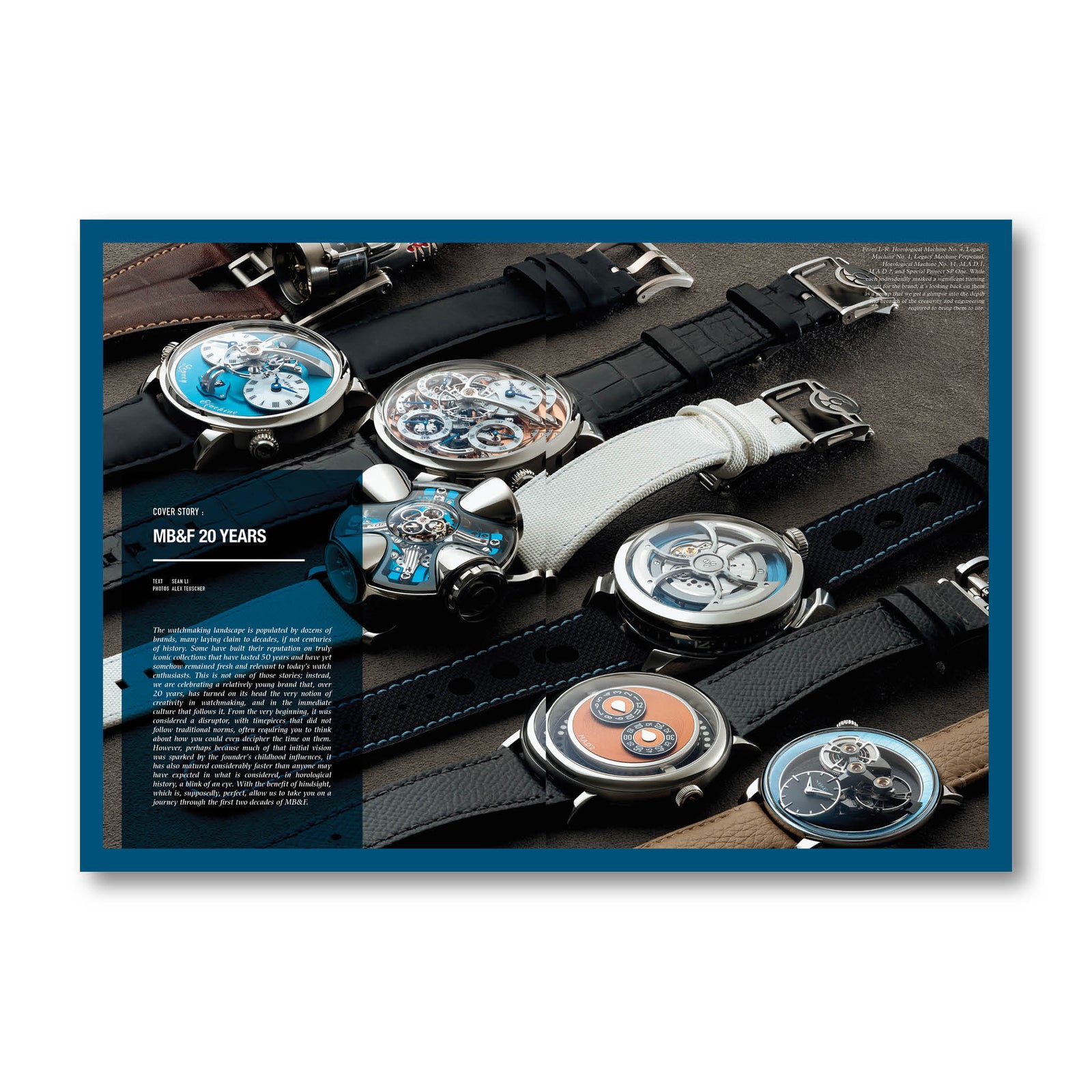 Blackbird Watch Manual Vol.13